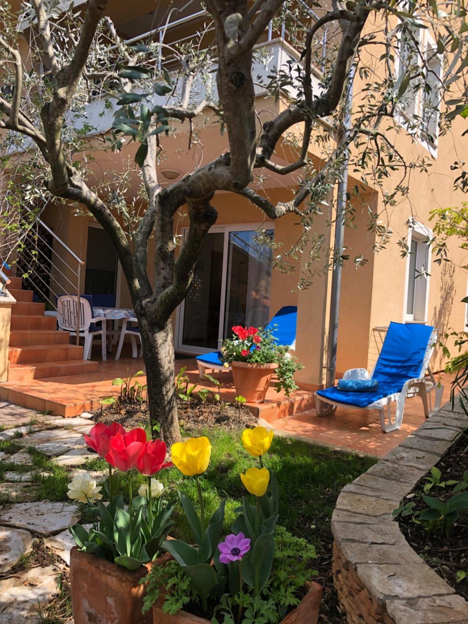 Villa Alexandra 4 Пиешчана Увала Екстериор снимка